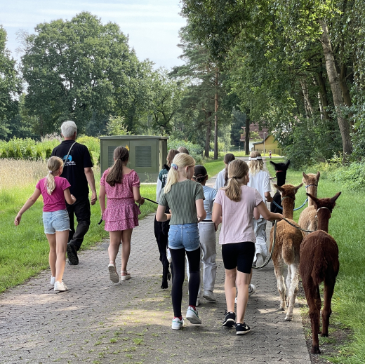 Kindergeburtstag auf dem Alpakahof