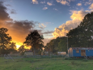 Wochenende auf der Alpakaweide mit Kind ab 7 Jahre und Halbpension