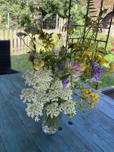 Gutschein Alpaka Kruterwanderung am 31.5.2026 mit Nicole Lampe