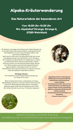 Gutschein Alpaka Kruterwanderung am 27.6.2026