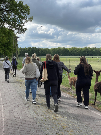 Gutschein Alpaka Wanderung am 16.11.25 um 11 Uhr