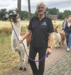 Gutschein Alpaka Wanderung fr eine Person
